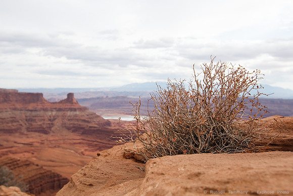 Dead Horse Point State Park