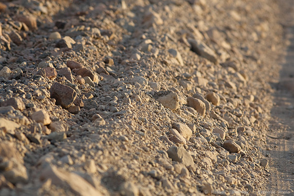 Dirt