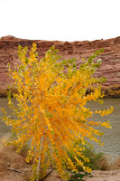 Along Colorado River near Moab UT