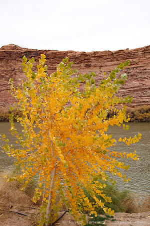 Along Colorado River near Moab UT
