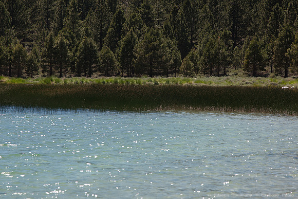 June Lake