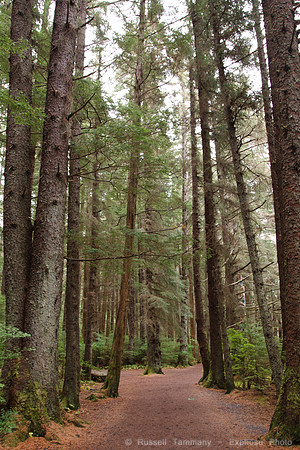 Sitka Totem Park