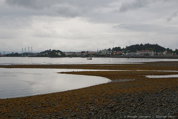 Sitka Totem Park