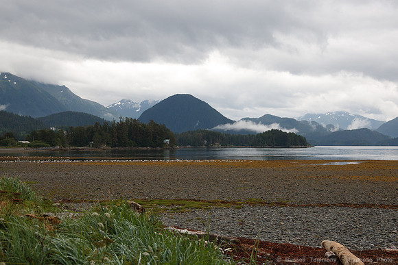 Sitka Totem Park