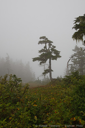 Sitka, AK
