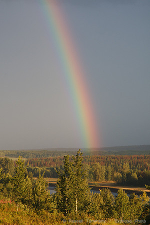 Along TC-16 towards Burns Lake/Prince George