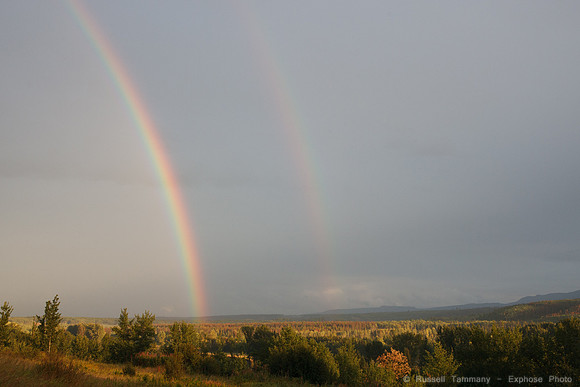 Along TC-16 towards Burns Lake/Prince George