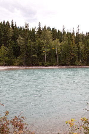 TC-16 towards Jasper