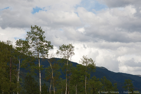 TC-16 towards Jasper