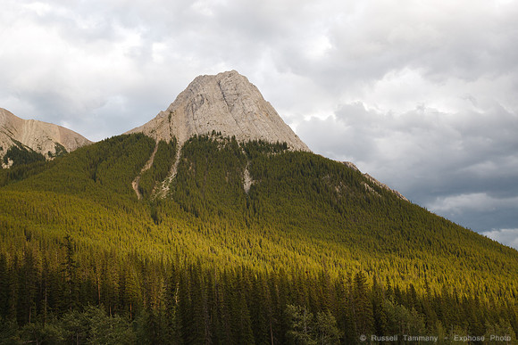 Jasper NP, AB