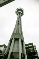 1DX_2175