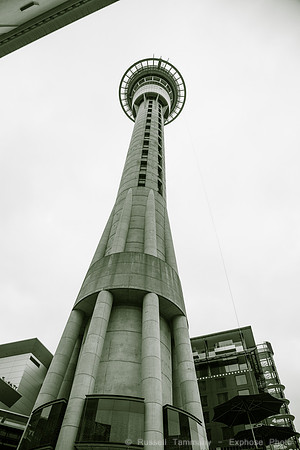1DX_2175