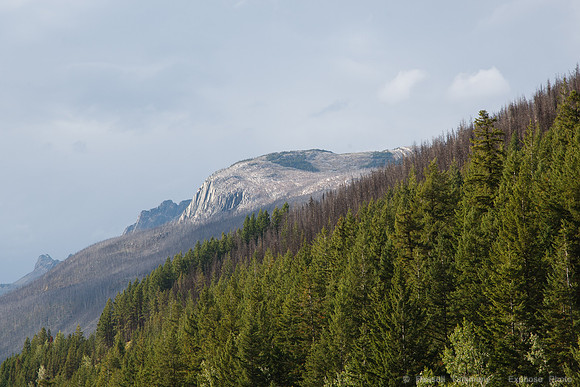 TC-16 towards Jasper