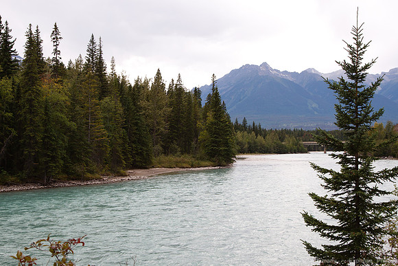 TC-16 towards Jasper