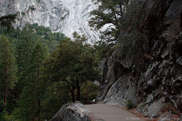 Yosemite NP