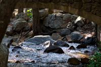Yosemite NP