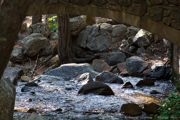Yosemite NP
