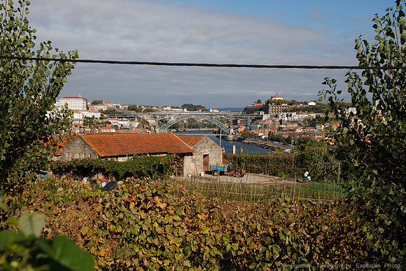 OPorto - W. & J. Graham's Port House