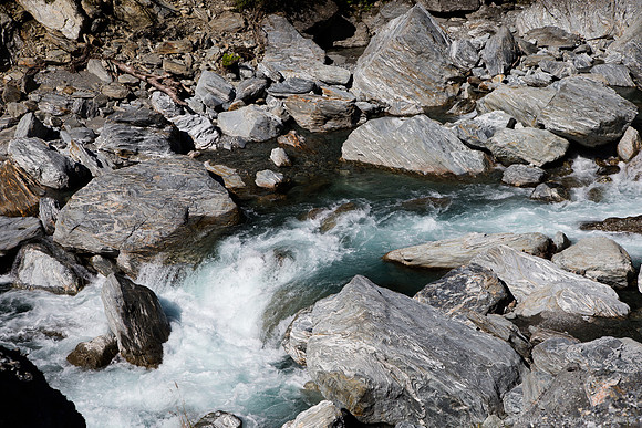 1DX_5690