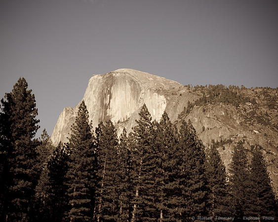 Yosemite NP