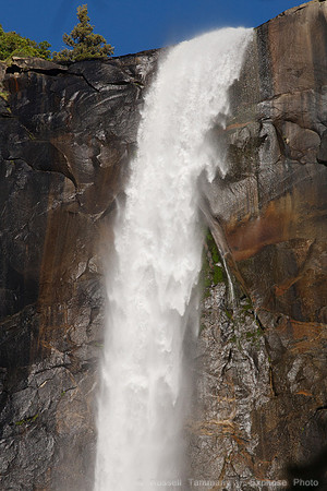 Yosemite NP