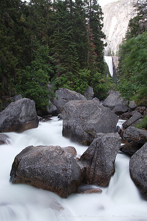 Yosemite NP