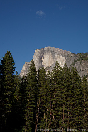 Yosemite NP