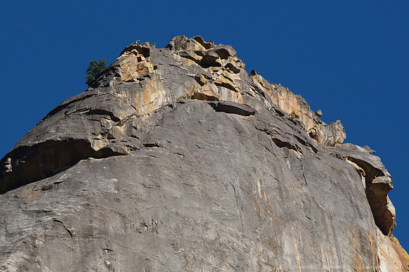 Yosemite NP