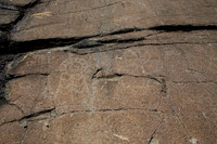 Donner Petroglyphs