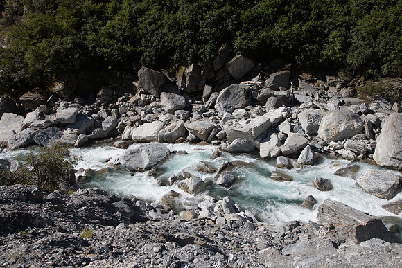 1DX_5684