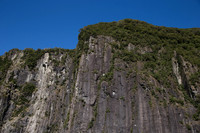 1DX_5501