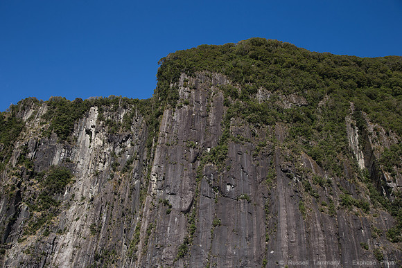 1DX_5501