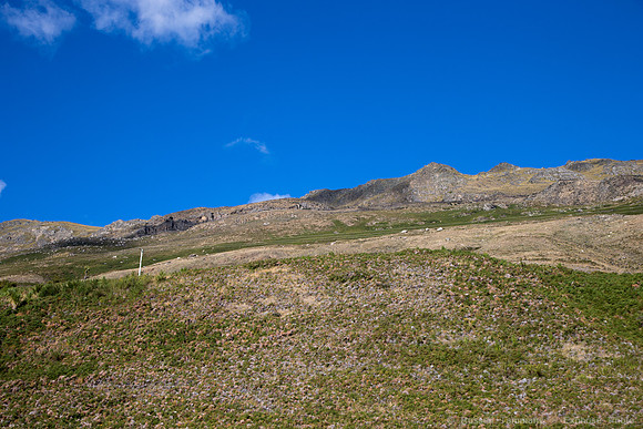 1DX_5826