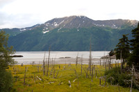 Anchorage to Seward ARR