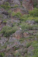 Anchorage to Seward ARR