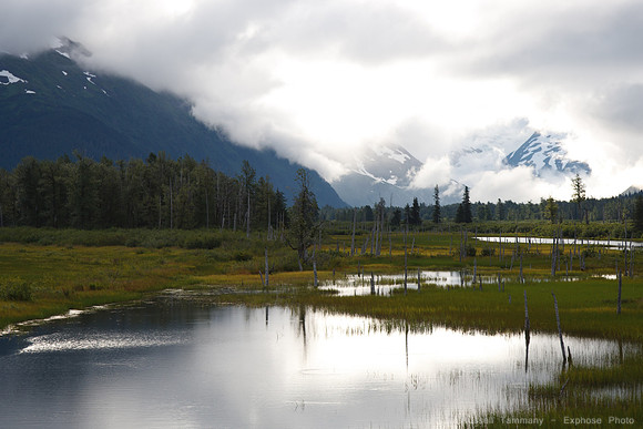 Anchorage to Seward ARR