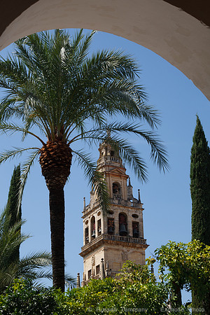 Cordoba - Mezquita de Cordoba