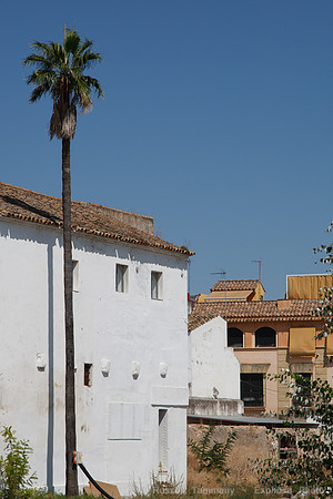 Cordoba