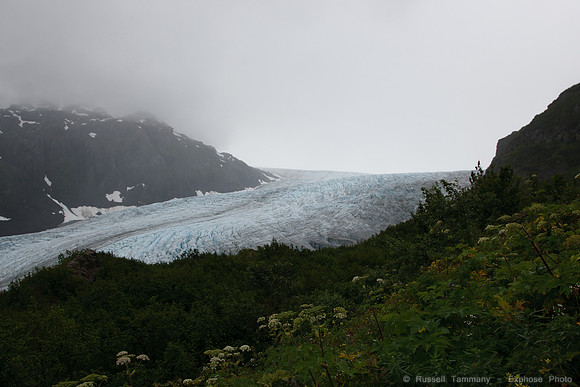 Exit Glacier, Kenai Fjords NP