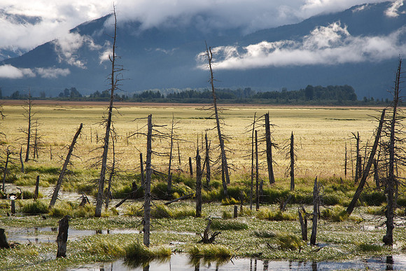 Anchorage to Seward ARR
