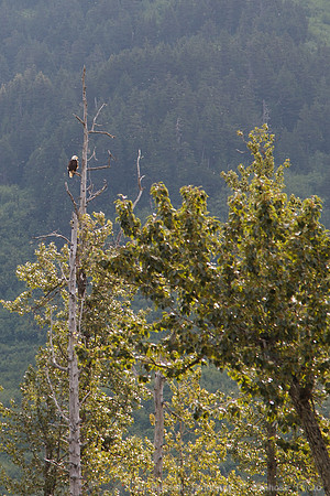 Anchorage to Seward ARR