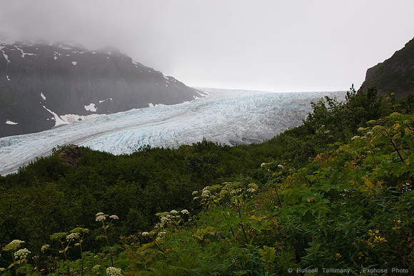 Exit Glacier, Kenai Fjords NP