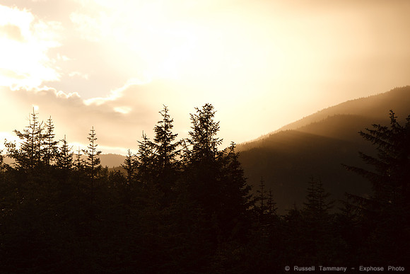 Mendenhall Glacier