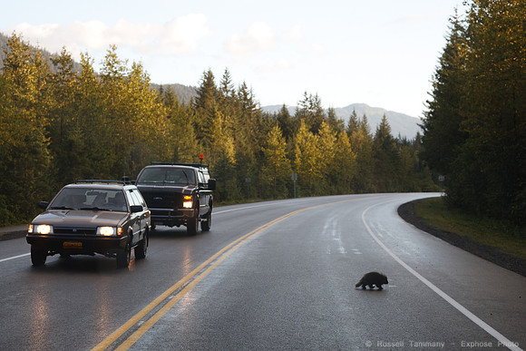 Juneau, AK