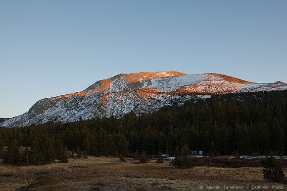 Yosemite NP