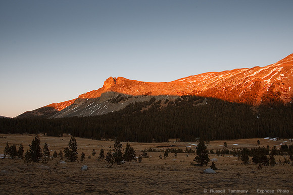 Yosemite NP