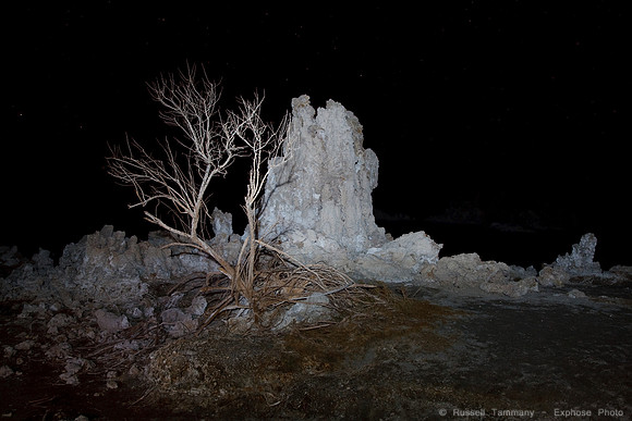 Mono Lake Night