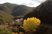 CA Highway 120