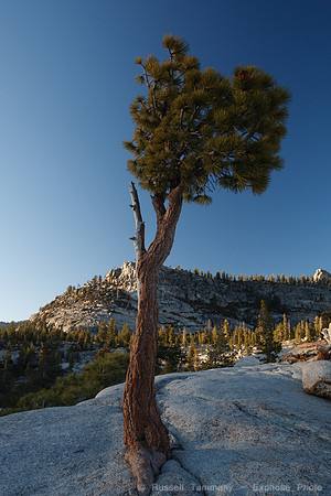 Yosemite NP