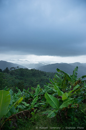 DSC05651